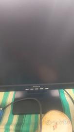 Monitor PC 17 Pollici Belinea 101711 LCD 4:3 VGA R