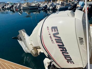 Motore Evinrude E-Tec 250 + uno per ricambi