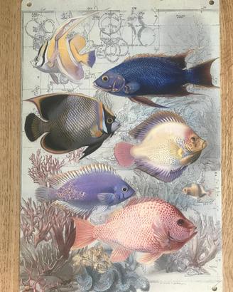 Targa metallo 20x30 cm