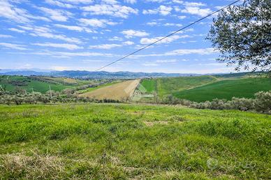 TER. AGRICOLO A ATRI