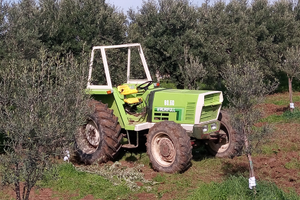 Trattore agrifull usato agricolo