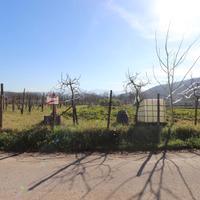 Terreno Residenziale Fontechiari