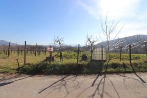 Terreno Residenziale Fontechiari