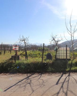 Terreno Residenziale Fontechiari