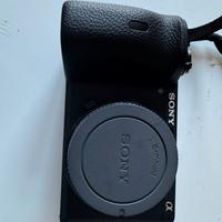 Sony a6600
