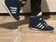 Immagine 6