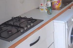 Sono ben accette persone extracomunitarie