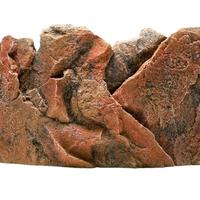 Jewel Terrazza
Scogliera Scuro Un Acquatico Animal