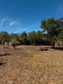 Terreno vendibile intero o separato