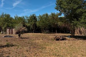 Terreno vendibile intero o separato