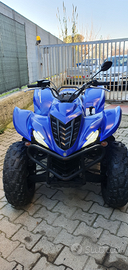 Wolverino yamaha 450