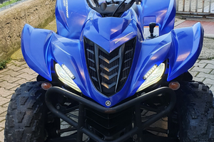 Wolverino yamaha 450