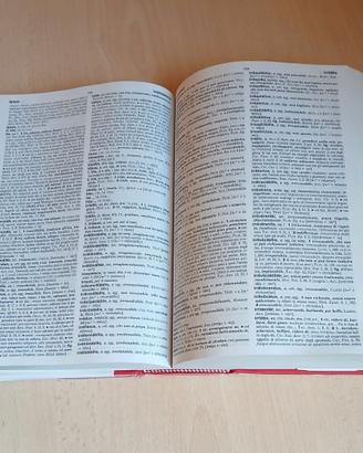 VOCABOLARIO LATINO LOESCHER 70
