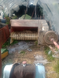 Imballatrice sgorbati