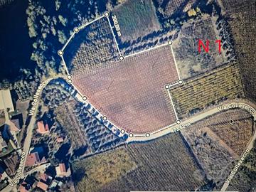 I piccola azienda agricola a Tollo