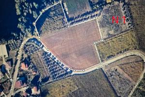 I piccola azienda agricola a Tollo
