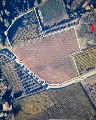 I piccola azienda agricola a Tollo
