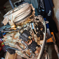 Motore fuoribordo evinrude 25