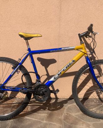 Bicicletta BMX
