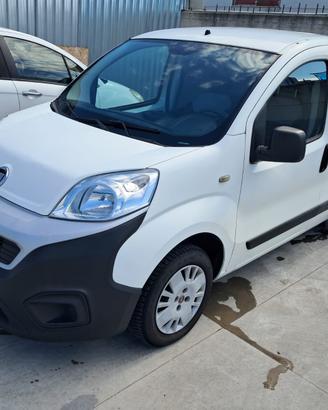 Fiorino