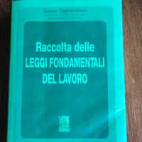 Raccolta delle leggi fondamentali del lavoro.1994