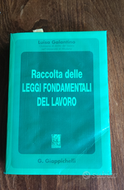 Raccolta delle leggi fondamentali del lavoro.1994