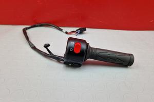 BLOCCHETTO DESTRO TRIUMPH TIGER 955 2002 2006 955i