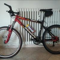 Mountain bike