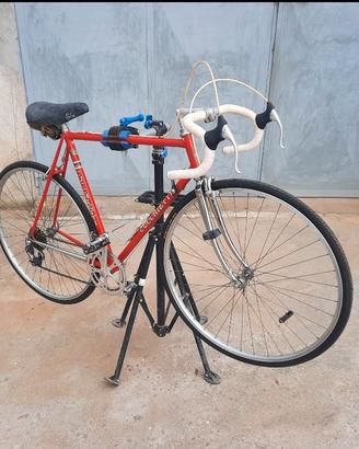 Bicicletta Cucchietti