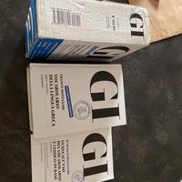 GI Vocabolario di Greco dizionario