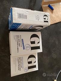 GI Vocabolario di Greco dizionario