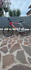 BICI MOUNTAIN BIKE 