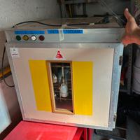 Incubatrice maino 250 automatica
