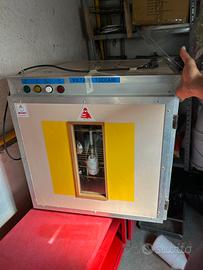 Incubatrice maino 250 automatica