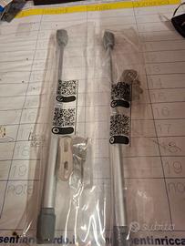 coppia di pistoncini Emuca - corsa 100mm - 11kg