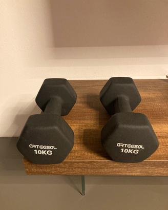 Manubri 10 kg