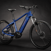 E-BIKE HAIBIKE ALLTRACK 4