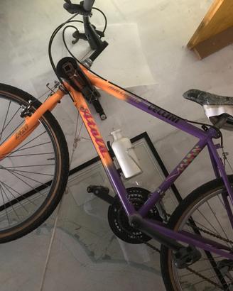 Bici numero 2