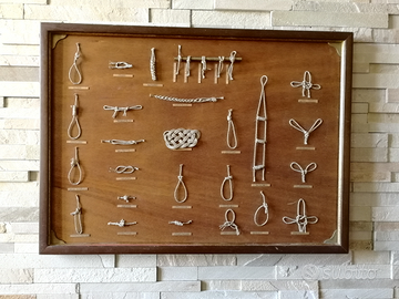 Antico pannello espositivo con varie tipologie di