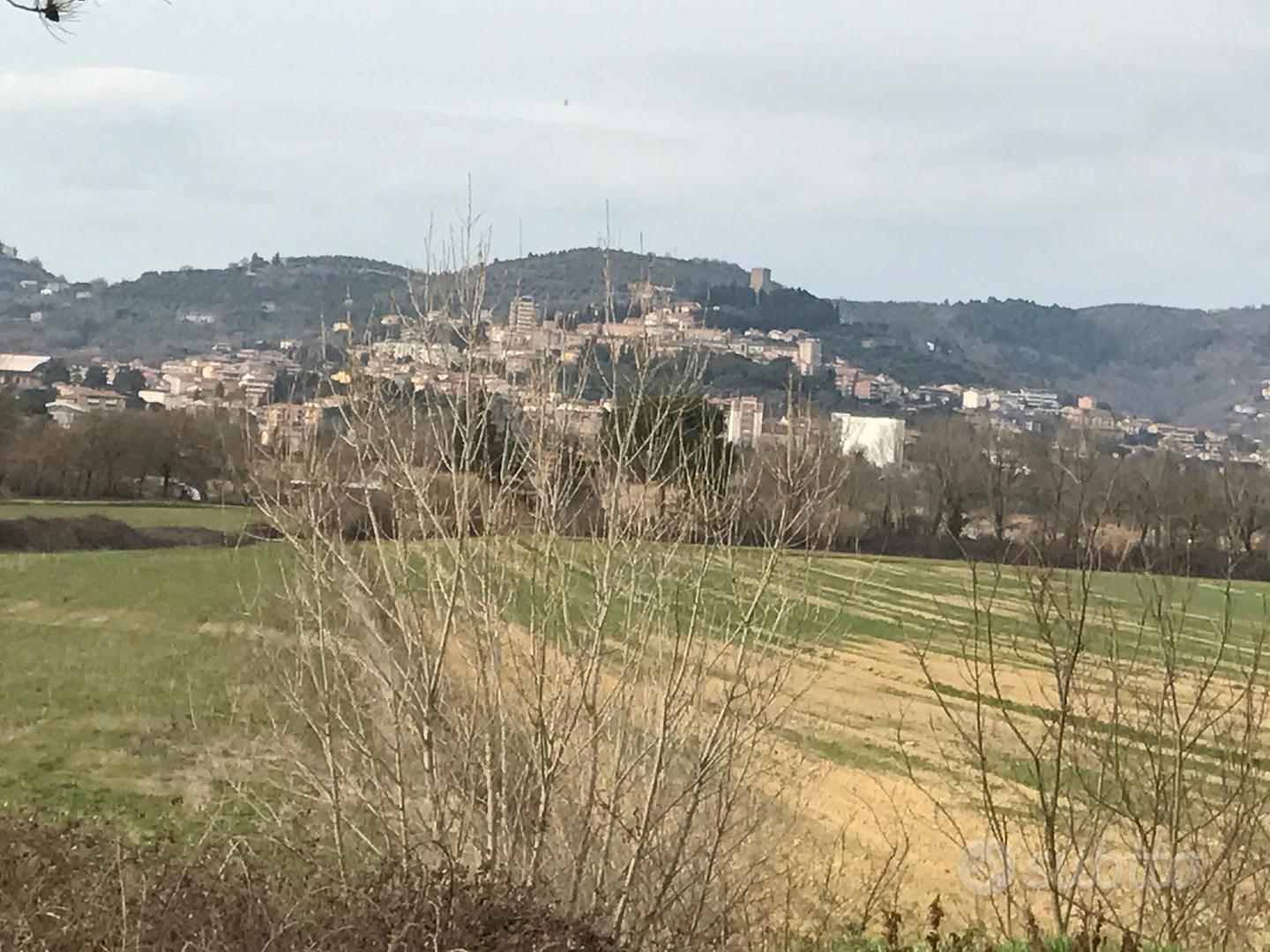 Casale in pietra e mattoni con annesso e terreno - Vista 4