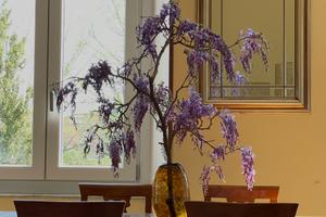 2 Camere Private in Esclusivo Inglese Residenza