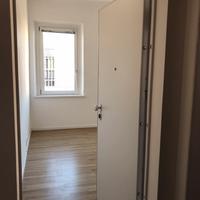 Ufficio luminoso UDINE