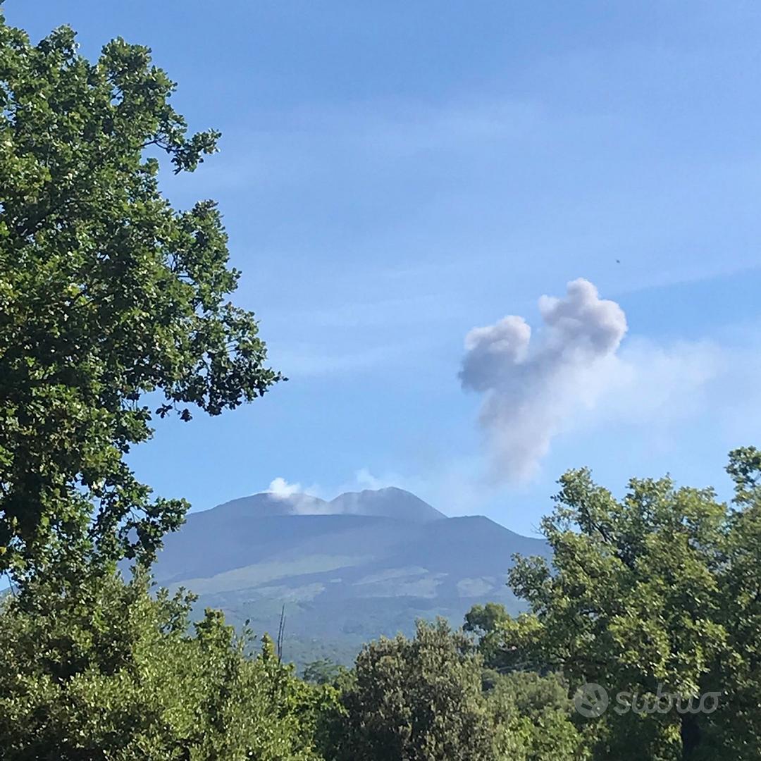 Terreno agricolo con possibilità edificare - Vista 2