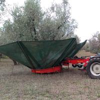Scuotitore semovente per olive