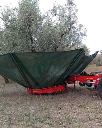 Scuotitore semovente per olive