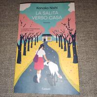 La salita verso casa Libro