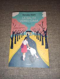 La salita verso casa Libro