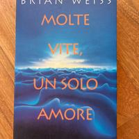 Molte vite, un solo amore