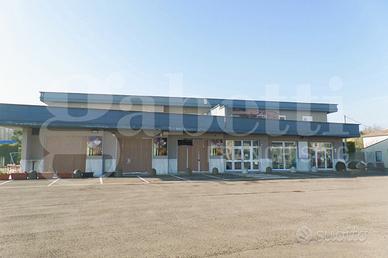 Negozio Finale Emilia [Cod. rif V0015VCG]