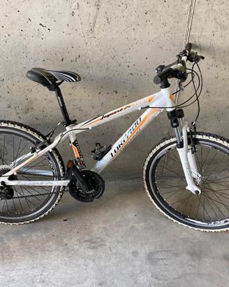 Bicicletta Torpado